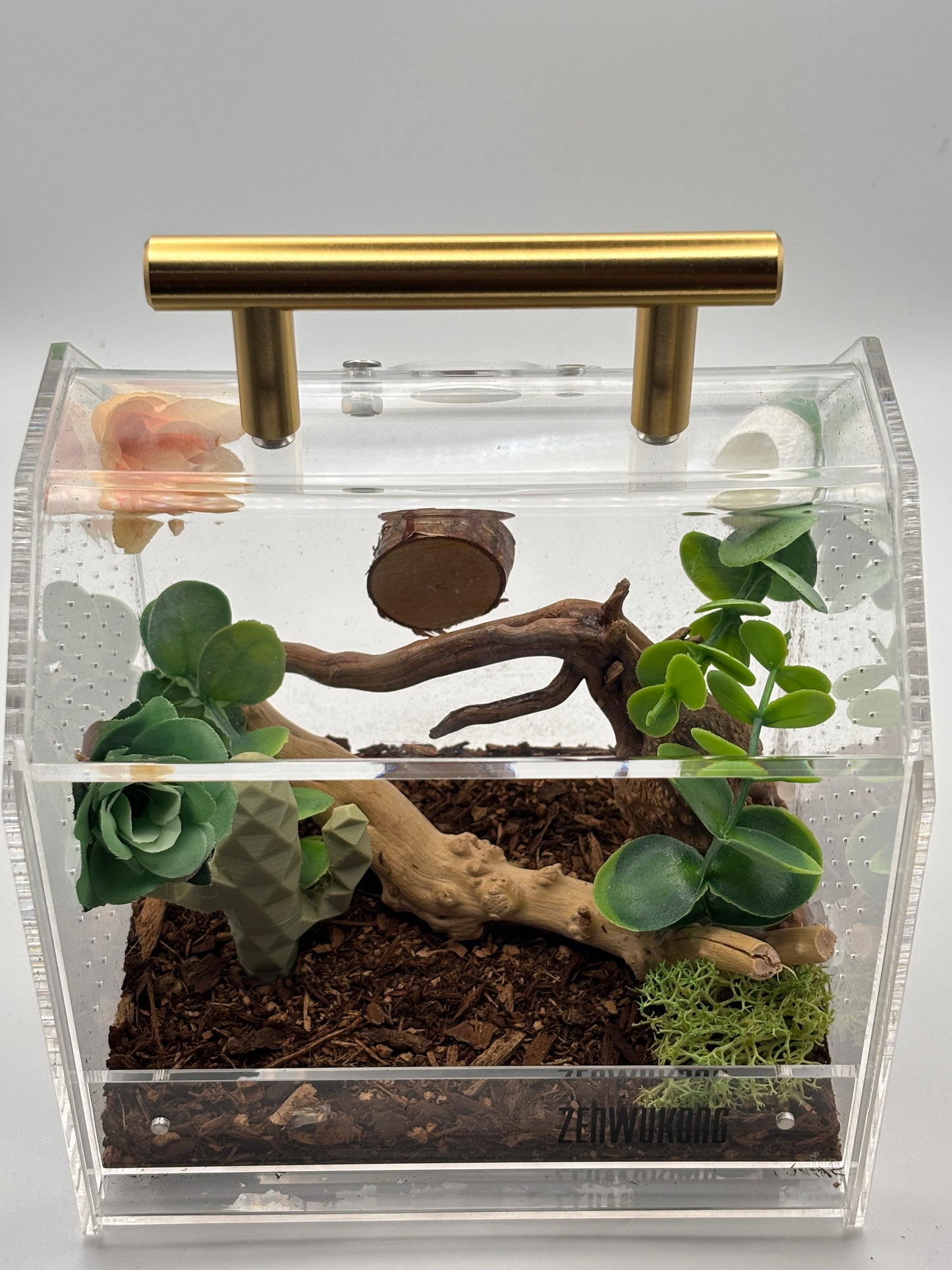 🌿 Desert Driftwood Critterrarium