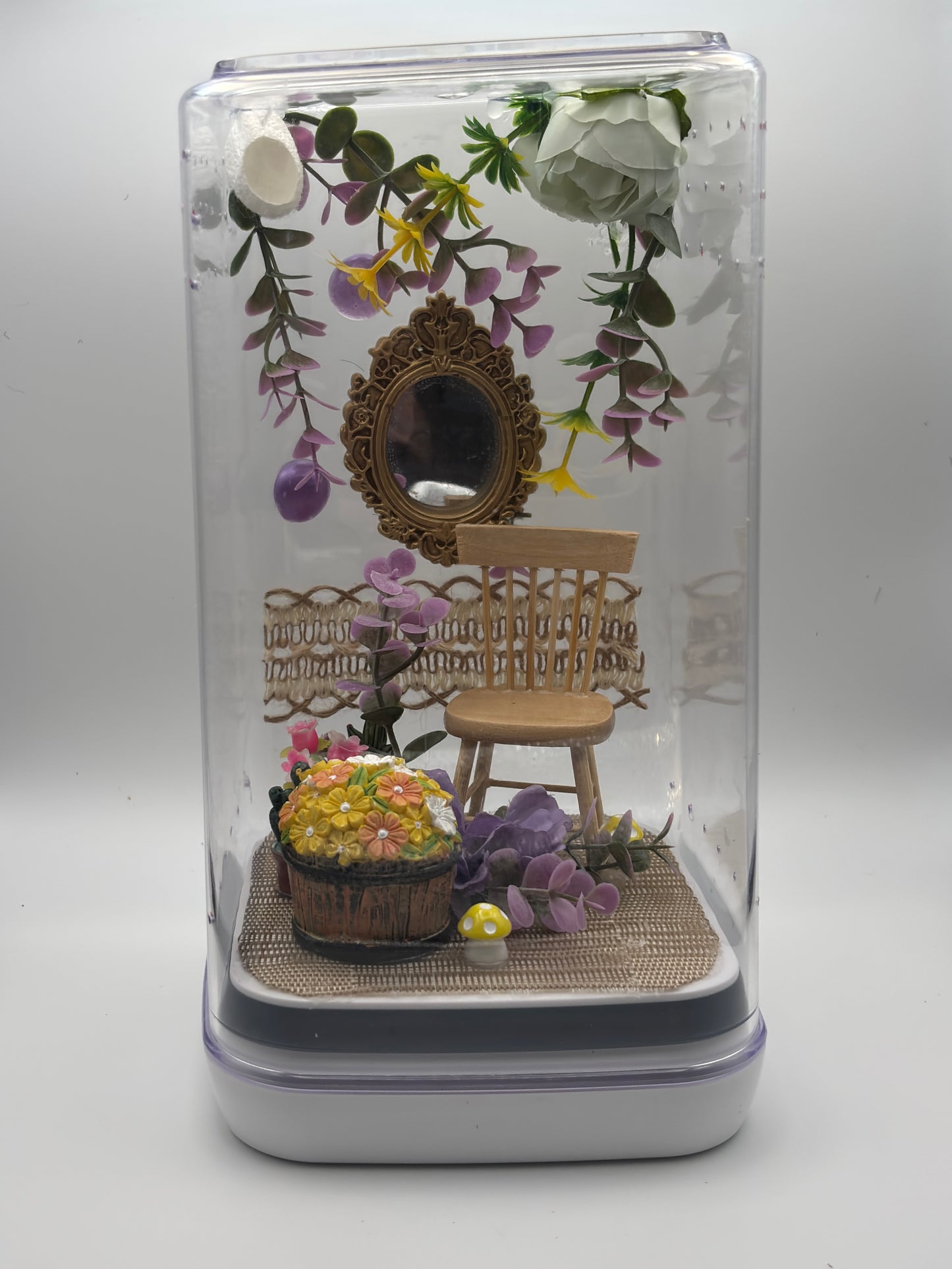 🌸Whimsical Garden Room Critterrarium