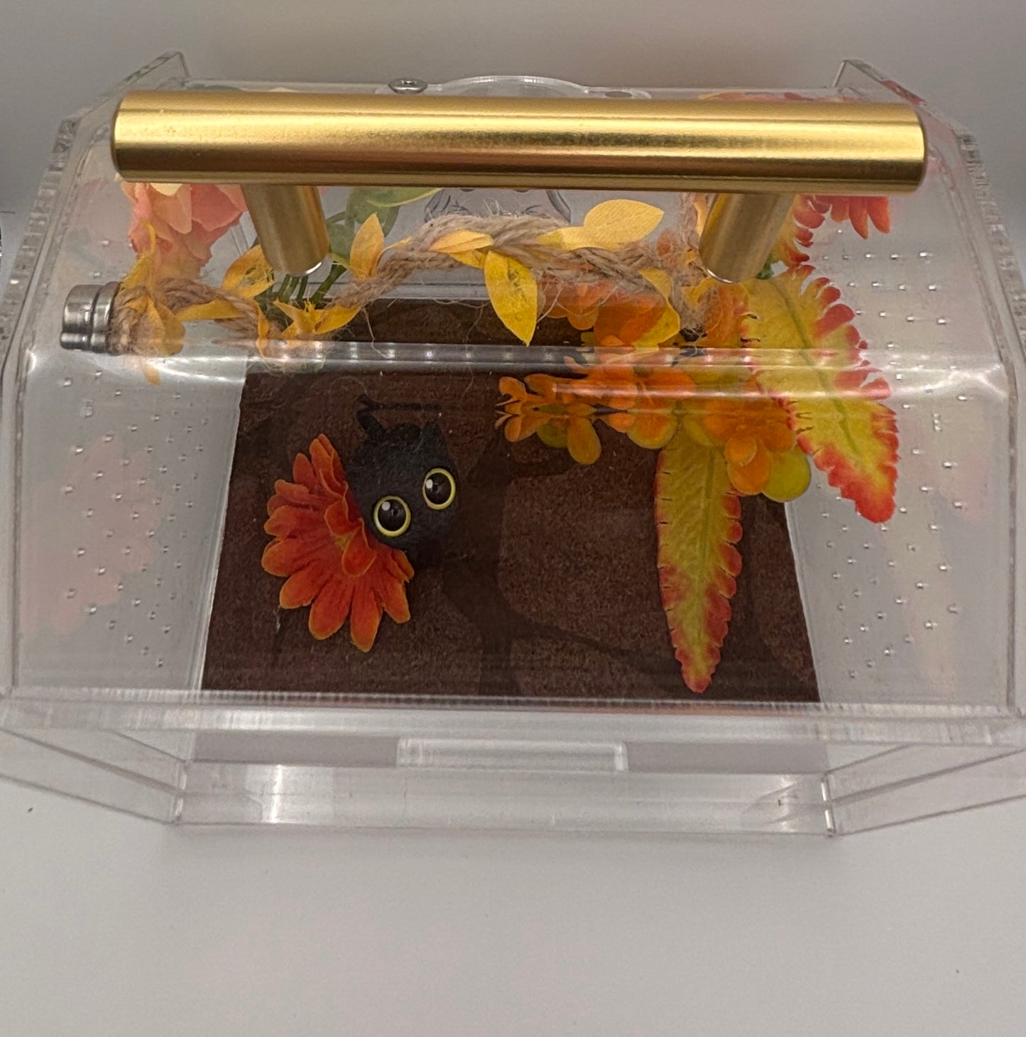 🧡 Autumn Ghost Critterrarium
