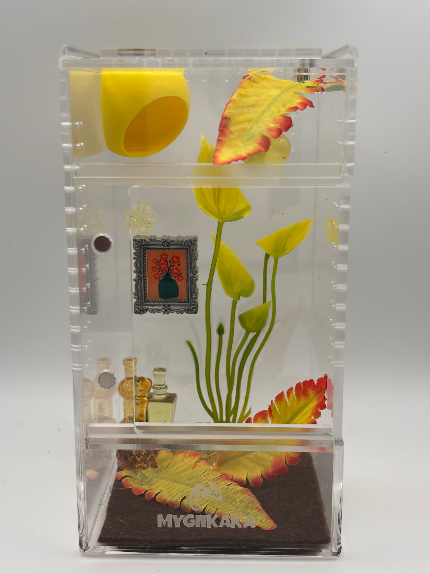 π Citrus Bloom Terrarium β by Critterrariums