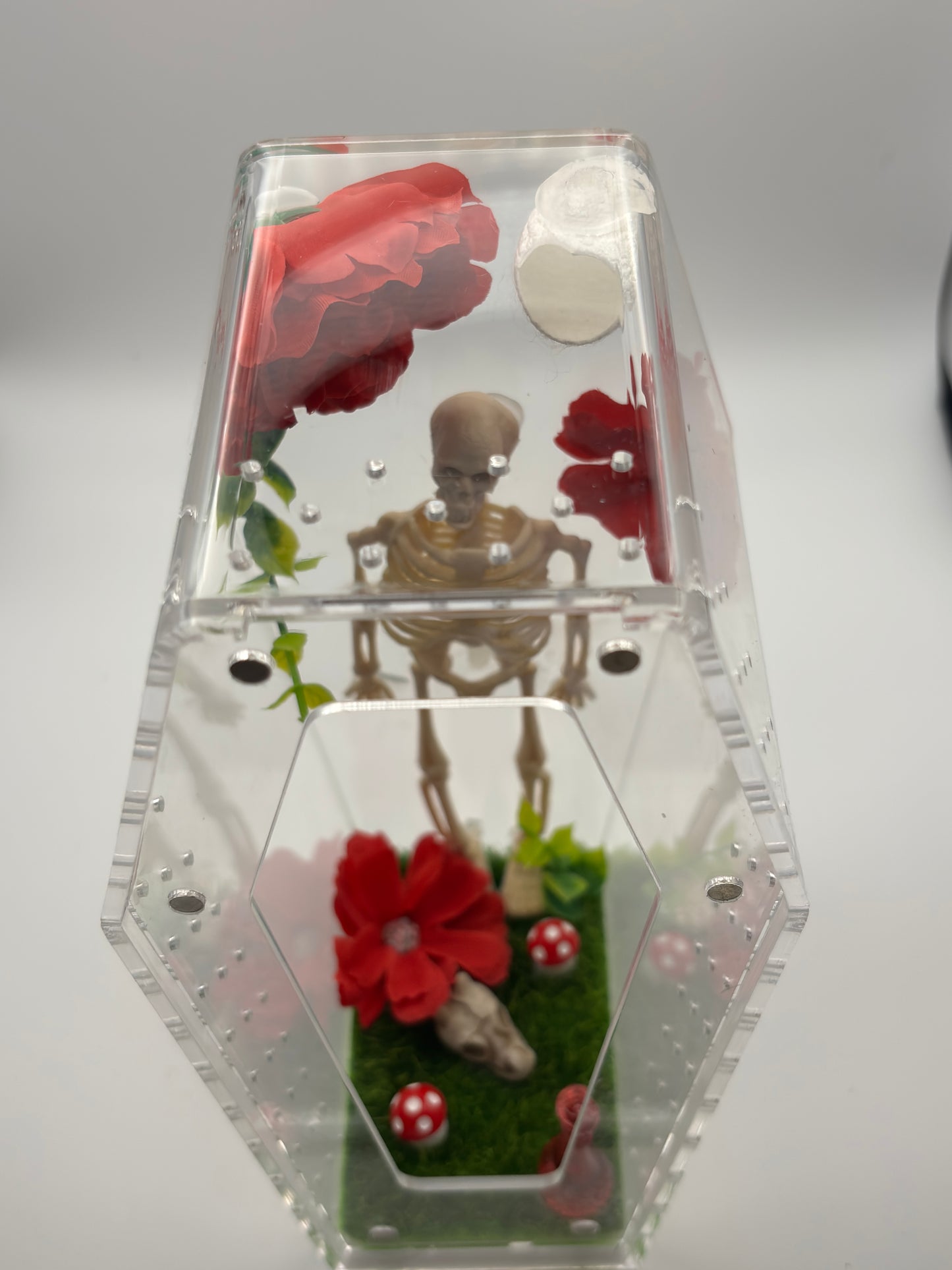 đź’€ Skeleton Garden Coffin Critterrarium
