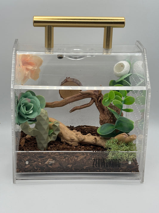 🌿 Desert Driftwood Critterrarium