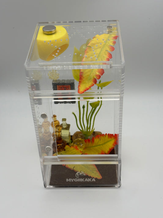 🍋 Citrus Bloom Terrarium — by Critterrariums