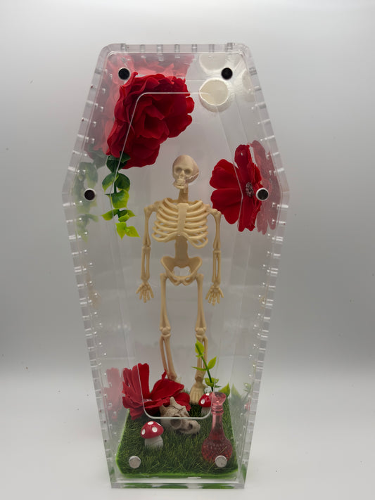 💀 Skeleton Garden Coffin Critterrarium
